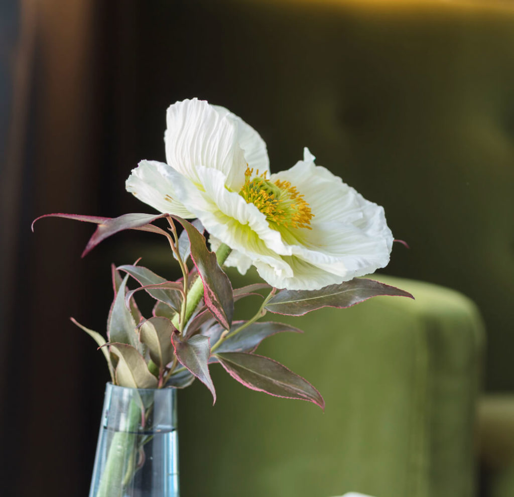 Flaschenhals aus dem eine Blüte ragt